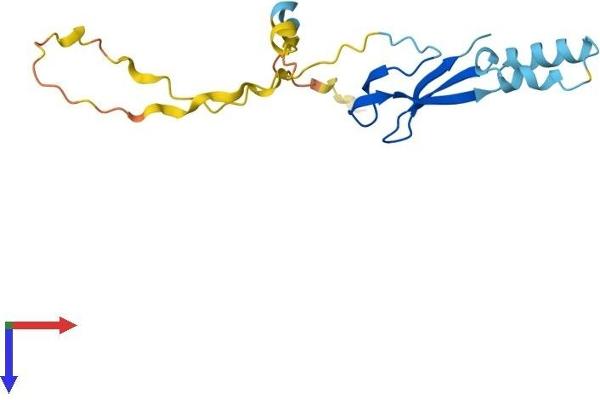 LITAF Protein (AA 1-161) (His tag)