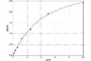 Chemokine (C-C Motif) Receptor 5 (CCR5) ELISA Kit
