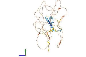 AlphaFold protein structure predicition of Human Recombinant FAM217A Protein, UniprotID Q8IXS0