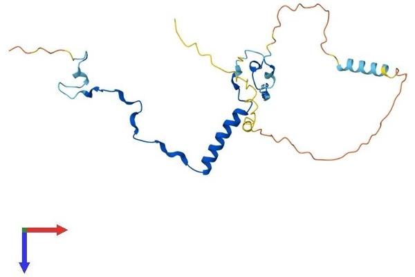 POLR3G Protein (AA 1-223) (His tag)