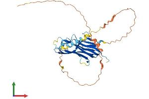 Protein Structure (PS) image for Tumor Necrosis Factor (Ligand) Superfamily, Member 9 (TNFSF9) (AA 1-309) protein (His tag) (ABIN7563234)