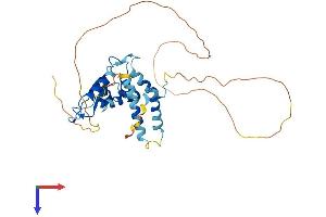 QKI Protein (AA 1-341) (His tag)