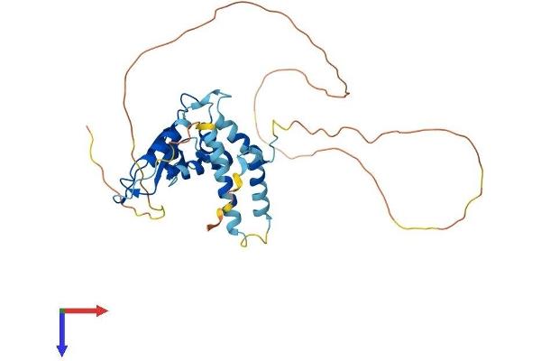 QKI Protein (AA 1-341) (His tag)