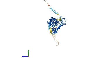 Protein Structure (PS) image for Solute Carrier Family 1 (Glial High Affinity Glutamate Transporter), Member 3 (SLC1A3) (AA 1-543) protein (His tag) (ABIN7556484)