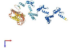 ZNF596 Protein (AA 1-504) (His tag)