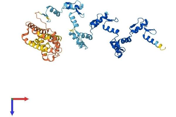 ZNF596 Protein (AA 1-504) (His tag)