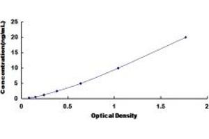 Typical standard curve (SYNPO2 ELISA Kit)