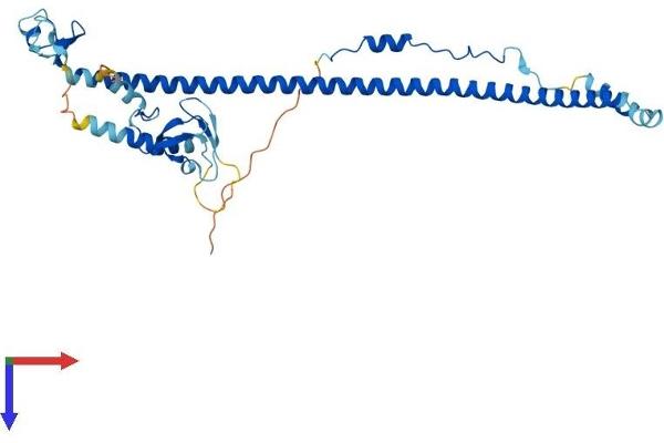 TRIM63 Protein (AA 1-350) (His tag)