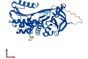 Protein Structure (PS) image for serpin Peptidase Inhibitor, Clade B (Ovalbumin), Member 6 (SERPINB6) (AA 1-376) protein (His tag) (ABIN7546340)