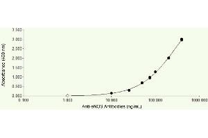 ELISA Plates were coated with 1 μg/mL recombinant human eNOS, our polyclonal rabbit anti eNOS was added at different concentrations and detected with an anti-rabbit HRP. (ENOS Antikörper)