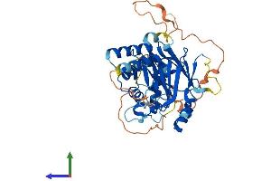 Protein Structure (PS) image for Interferon Regulatory Factor 8 (IRF8) (AA 1-424) protein (His tag) (ABIN7562980)