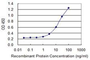 ELISA image for anti-serpin Peptidase Inhibitor, Clade B (Ovalbumin), Member 9 (SERPINB9) (AA 279-375) antibody (ABIN518876)