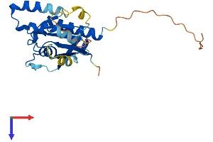 AlphaFold protein structure predicition of Human Recombinant RABL3 Protein, UniprotID Q5HYI8