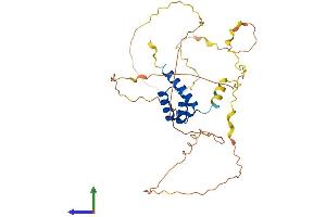 Protein Structure (PS) image for Homeobox D9 (HOXD9) (AA 1-339) protein (His tag) (ABIN7563047)