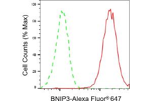 Flow cytometric analysis of BNIP3 expression in C2C12 cells using BNIP3 antibody (ABIN7797759), 1:2,000).
