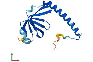 Protein Structure (PS) image for LSM1 Homolog, U6 Small Nuclear RNA Associated (LSM1) (AA 1-133) protein (His tag) (ABIN7549117)