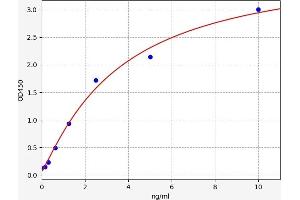 Typical standard curve (CAMK2D ELISA Kit)