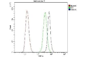 Flow Cytometry analysis of PC-3 cells using anti-Nanog antibody (ABIN5518779). (Nanog Antikörper  (Middle Region))