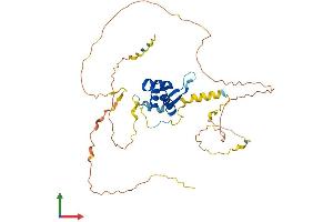 Protein Structure (PS) image for Forkhead Box E1 (Thyroid Transcription Factor 2) (FOXE1) (AA 1-371) protein (His tag) (ABIN7559692)