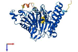 Secernin 3 Protein (SCRN3) (AA 1-424) (His tag)