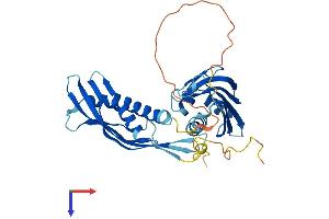 AHSA1 Protein (AA 1-338) (His tag)