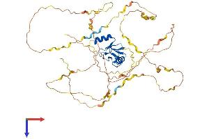 CBLL1 Protein (AA 1-491) (His tag)