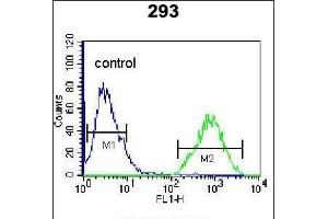 Flow cytometric analysis of 293 cells (right histogram) compared to a negative control cell (left histogram). (TFAP4 Antikörper  (AA 125-154))