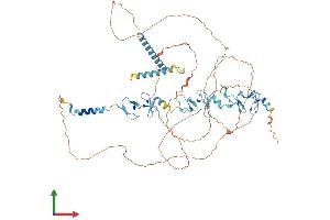 Protein Structure (PS) image for LIM Domains Containing 1 (LIMD1) (AA 1-668) protein (His tag) (ABIN7565145)