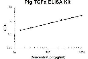 Pig TGF alpha PicoKine ELISA Kit standard curve (TGFA ELISA Kit)