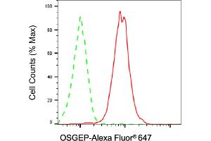 Flow cytometric analysis of OSGEP expression in HAP-1 cells using OSGEP antibody (ABIN7799695), 1:2,000). (OSGEP Antikörper)
