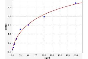 Dopachrome Tautomerase (DCT) ELISA Kit