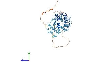 Protein Structure (PS) image for Zinc Finger Protein 157 (ZNF157) (AA 1-506) protein (His tag) (ABIN7545306)