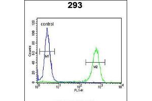 Flow cytometric analysis of 293 cells (right histogram) compared to a negative control cell (left histogram). (JHDM1D Antikörper  (AA 290-316))