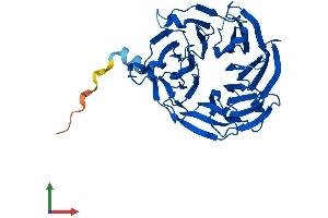 Protein Structure (PS) image for THO Complex 6 Homolog (THOC6) (AA 1-341) protein (His tag) (ABIN7555806)