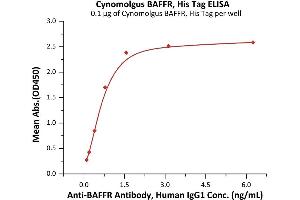 ELISA image for Tumor Necrosis Factor Receptor Superfamily, Member 13C (TNFRSF13C) (AA 7-76) (Active) protein (His tag) (ABIN7013191)