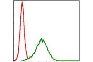 Flow cytometric analysis of HepG2 cells using NQO1 mouse mAb (green) and negative control (red). (NQO1 Antikörper)