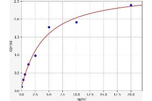 MX1 ELISA Kit