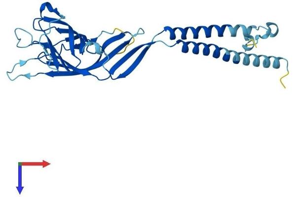 ERGIC1 Protein (AA 1-290) (His tag)