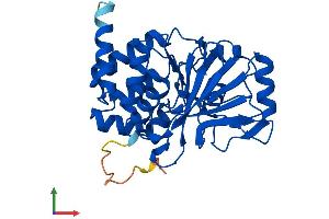 Protein Structure (PS) image for Protein Phosphatase 2, Catalytic Subunit, alpha Isozyme (PPP2CA) (AA 1-309) protein (His tag) (ABIN7551001)