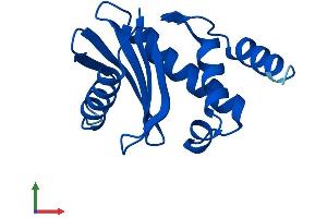 Protein Structure (PS) image for Adaptor-Related Protein Complex 2, sigma 1 Subunit (AP2S1) (AA 1-142) protein (His tag) (ABIN7563500)