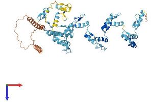 AlphaFold protein structure predicition of Human Recombinant ZNF675 Protein, UniprotID Q8TD23