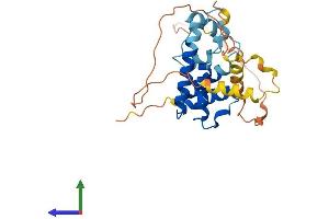Protein Structure (PS) image for Acyl-CoA Binding Domain Containing 4 (ACBD4) (AA 1-268) protein (His tag) (ABIN7551849)