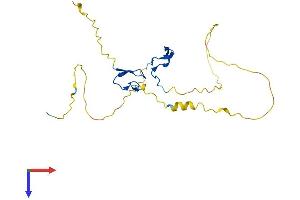 RYBP Protein (AA 1-228) (His tag)