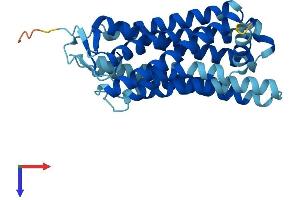 OR4D2 Protein (AA 1-307) (His tag)