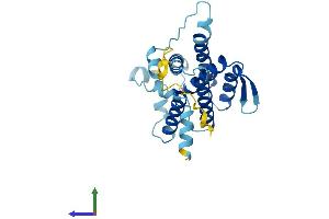 AlphaFold protein structure predicition of Human Recombinant DERL3 Protein, UniprotID Q96Q80