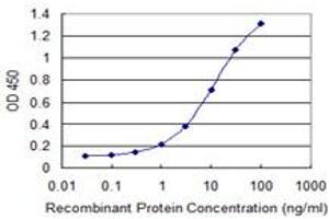 Detection limit for recombinant GST tagged GNL3 is 0. (Nucleostemin Antikörper  (AA 328-427))