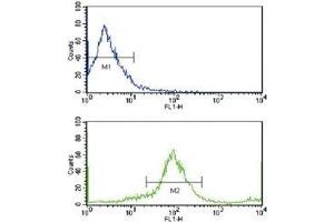 Flow cytometric analysis of MCF-7 cells using HER2 / ErbB2 antibody (bottom histogram) compared to a negative control cell (top histogram).
