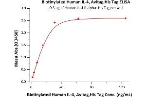Immobilized Human IL-4 R alpha, His Tag (ABIN2181320,ABIN2181319) at 5 μg/mL (100 μL/well) can bind Biotinylated Human IL-4, Avitag,His Tag (ABIN3137668,ABIN5674029) with a linear range of 1. (IL-4 Protein (AA 25-153) (His tag,AVI tag,Biotin))