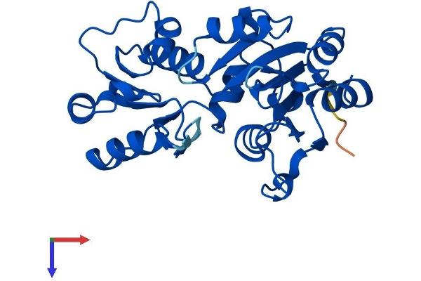 HDHD2 Protein (AA 1-259) (His tag)