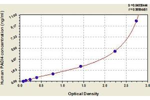 PAD4 ELISA Kit